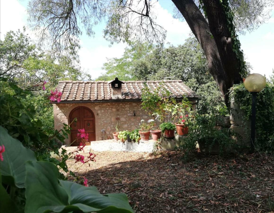 埃尔萨谷口村Nel Chianti Lungo La Francigena公寓 外观 照片