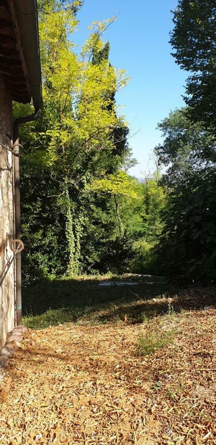 埃尔萨谷口村Nel Chianti Lungo La Francigena公寓 外观 照片
