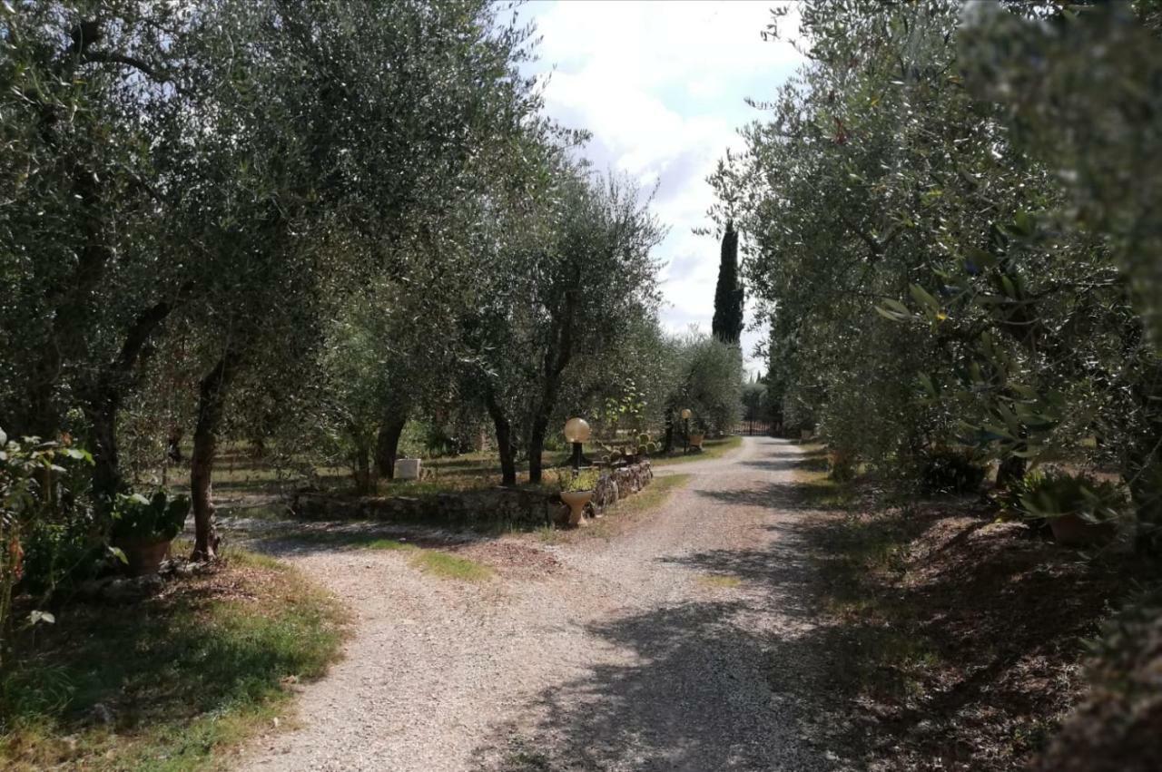 埃尔萨谷口村Nel Chianti Lungo La Francigena公寓 外观 照片